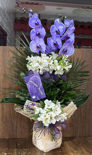 orkide aranjman karasu