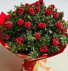 kokina buketleri aksoy çiçekçilik