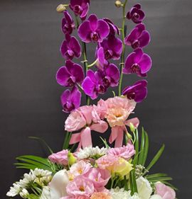 çiçekli orkide aranjman karasu