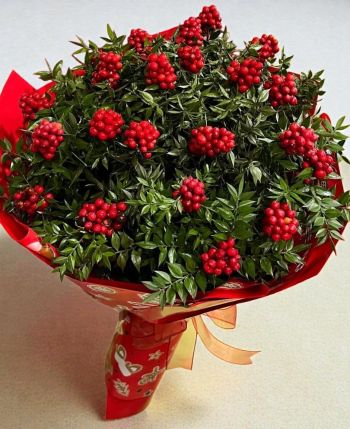 aksoy çiçekçilik karasu kokina buketleri